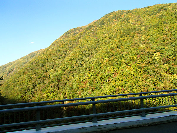 稲核ダム付近の紅葉風景